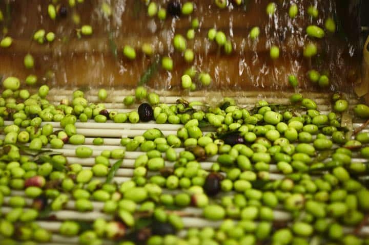 AA